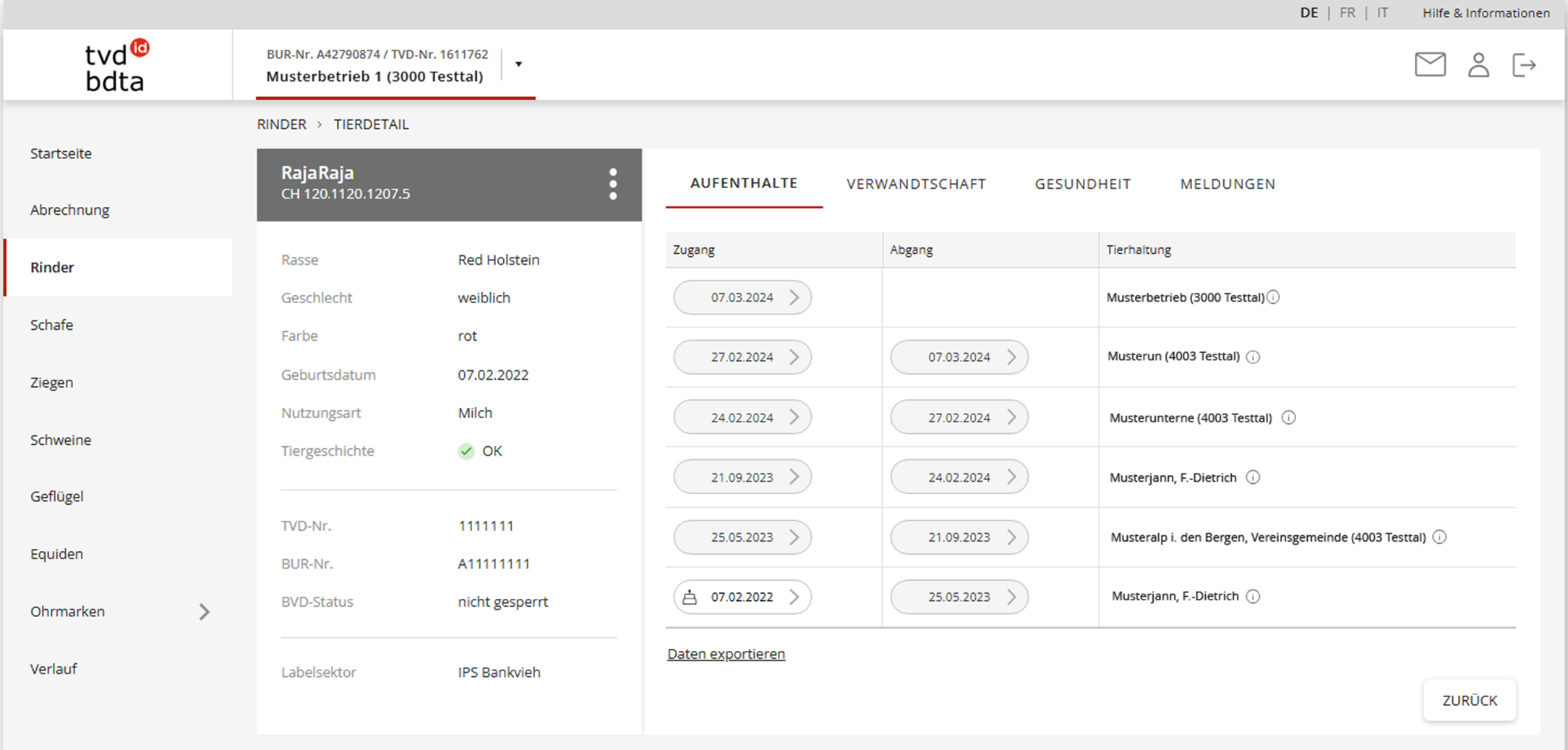 Tierdetail Rinder_DE