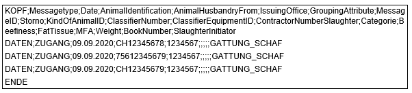 Beispiel einer CSV-Datei für Zugänge mit Kopfzeile, drei Datenzeilen und Abschluss ENDE